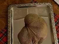 Das Objekt der Begierde...